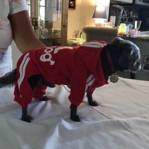 Dog Wear - Running Outfit with Hoodie